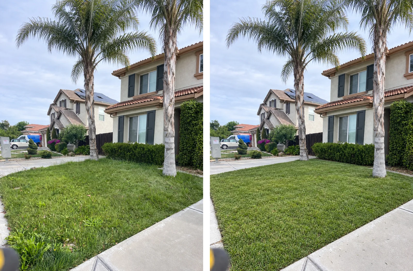 Before and after: Front lawn weeded, mowed and edged