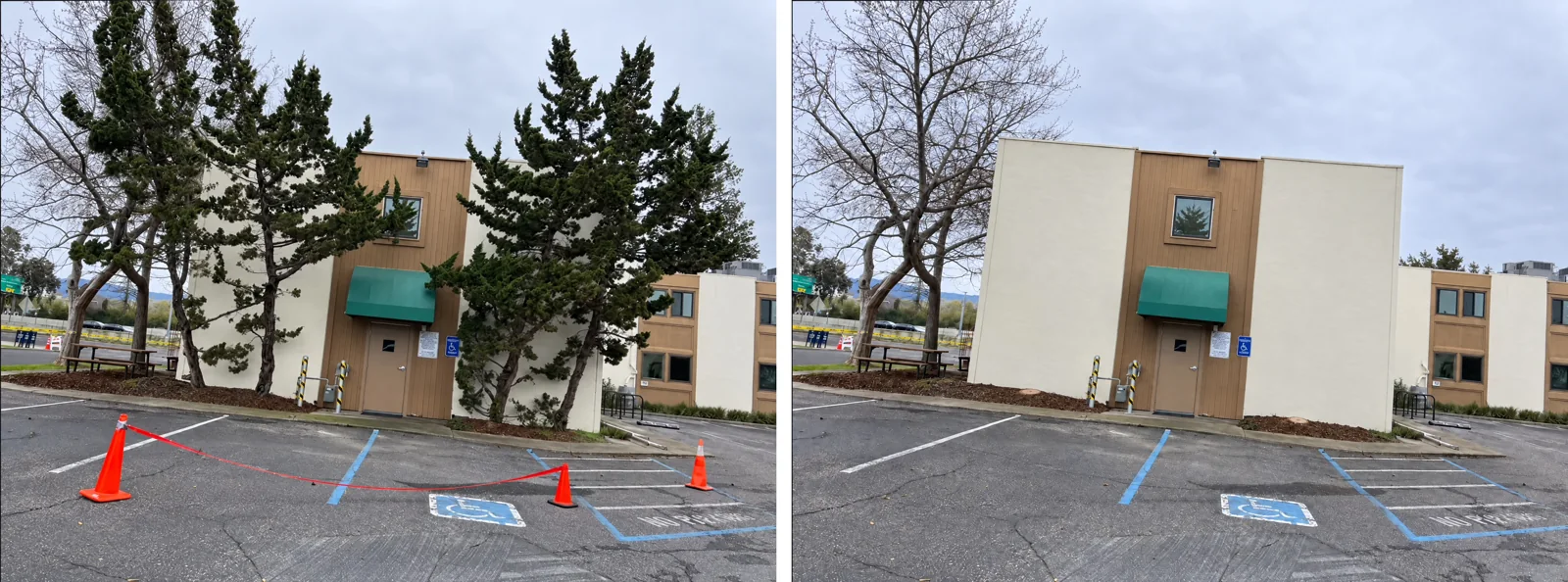 Antes, Después: Árboles crecidos removidos junto a un edificio comercial, jardinera limpiada y cubierta con mantillo
